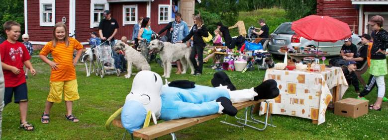 KirppukarkkujaHakkarainen.jpg