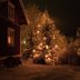 Harsun pikkum�kin kuusi