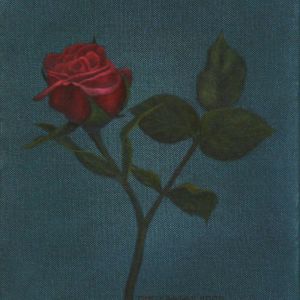 Timon ruusu